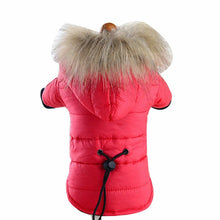 Charger l'image dans la galerie, Vêtements d'hiver pour animaux de compagnie, veste Super chaude, manteau en coton plus épais, imperméable, pour petits chiens, vêtements pour animaux de compagnie, bouledogue français, chiot, nouvelle collection