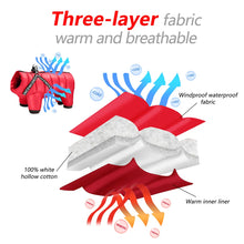 Cargar imagen en el visor de la galería, Ropa de invierno para perros muy cálidas, chaqueta para perros, abrigo impermeable, ropa para perros pequeños, medianos y grandes, Mono para Bulldog Francés